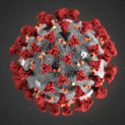 Blog de Just Quality Granada: ¿Cómo afecta el coronavirus (COVID-19) a mi negocio?